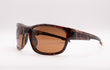 2018 - BROWN | BROWN | POLARIZED