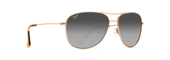 GOLD | NEUTRAL GREY - POLARIZED