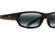 STINGRAY - GLOSS BLACK | NEUTRAL GREY - POLARIZED