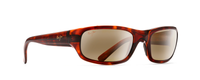 TORTOISE | HCL BRONZE - POLARIZED