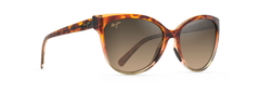 TORTOISE | TAN | HCL BRONZE - POLARIZED