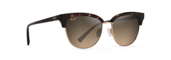 TORTOISE | GOLD | HCL BRONZE - POLARIZED