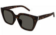 SL M143/F - HAVANA | GREY | POLARIZED