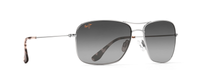 SILVER | NEUTRAL GREY - POLARIZED