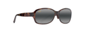OLIVE TORTOISE | NEUTRAL GREY | POLARIZED