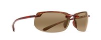 TORTOISE | HCL BRONZE - POLARIZED