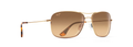 GOLD | HCL BRONZE | POLARIZED