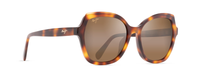 TORTOISE | HCL BRONZE - POLARIZED