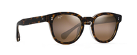 TORTOISE | CRYSTAL | HCL BRONZE - POLARIZED