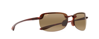 TORTOISE | HCL BRONZE - POLARIZED