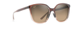 ROOTBEER FADE | HCL BRONZE | POLARIZED