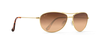 GOLD | HCL BRONZE - POLARIZED