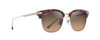 HAVANA - SILVER | HCL BRONZE | POLARIZED