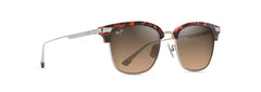 HAVANA - SILVER | HCL BRONZE | POLARIZED