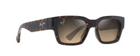 HAVANA | HCL BRONZE | POLARIZED