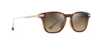 HAVANA - GOLD | HCL BRONZE | POLARIZED