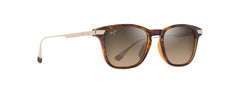 HAVANA - GOLD | HCL BRONZE | POLARIZED