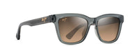 TRANSLUCENT GREY | HCL BRONZE | POLARIZED