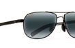 GUARDRAILS - GLOSS BLACK | NEUTRAL GREY | POLARIZED