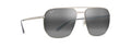 TITANIUM | NEUTRAL GREY | POLARIZED