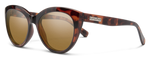 25_SUNCLOUDPIC1.png