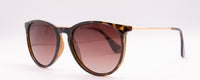 TRANSLUCENT TEAL | TEAL | NON POLARIZED