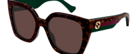 HAVANA - GREEN - RED | BROWN | NON POLARIZED