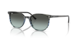 350_RAYBANPIC1.png
