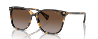 SHINY HAVANA YELLOW | GRADIENT BROWN - POLARIZED