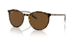 363_RAYBANPIC1.png