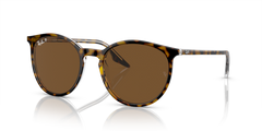 HAVANA | TRANSPARENT | BROWN - POLARIZED