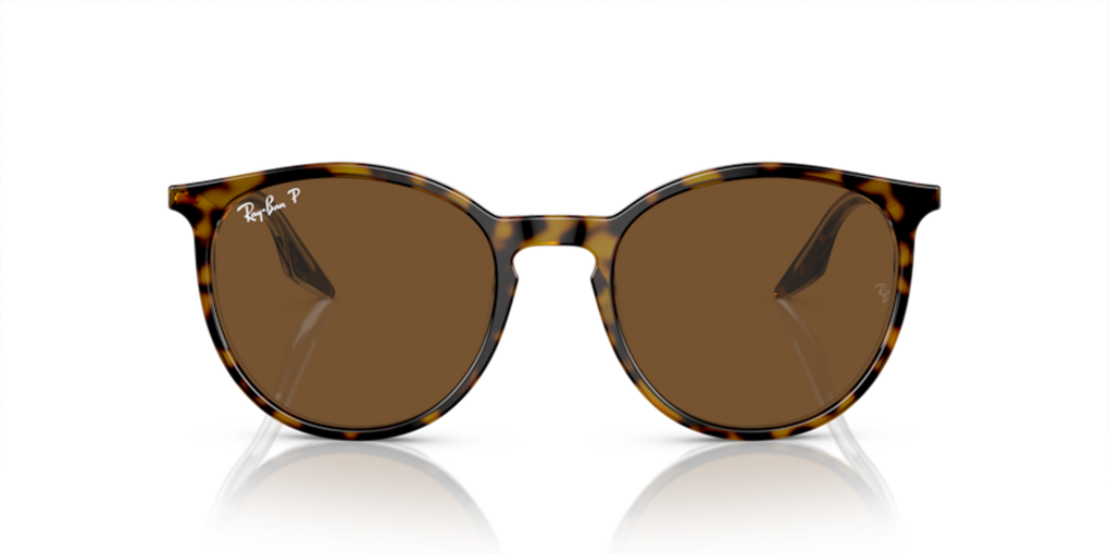 363_RAYBANPIC2.png