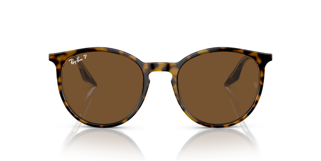 363_RAYBANPIC2.png