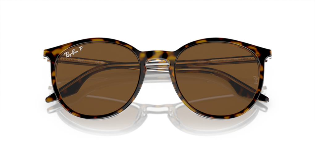 363_RAYBANPIC3.png