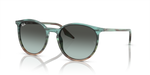 365_RAYBANPIC1.png