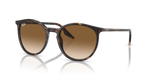 366_RAYBANPIC1.png