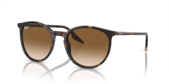 HAVANA | GRADIENT BROWN