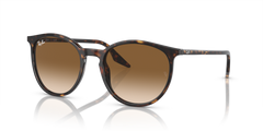 HAVANA | GRADIENT BROWN