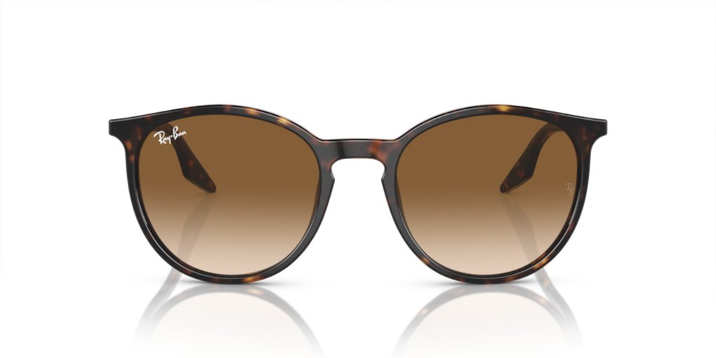 370_RAYBANPIC2.png