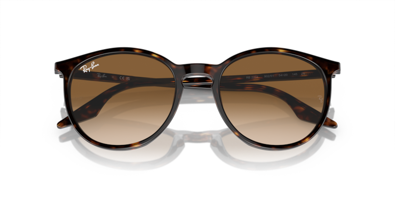 370_RAYBANPIC3.png