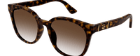 HAVANA | GRADIENT BROWN | NON POLARIZED