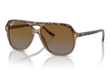 JUNIOR BILL - HAVANA | TRANSPARENT BROWN | BROWN | GREY - POLARIZED