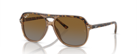 HAVANA | TRANSPARENT BROWN | BROWN | GREY - POLARIZED