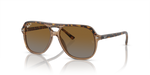 417_RAYBANPIC1.png