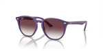 419_RAYBANPIC1.png