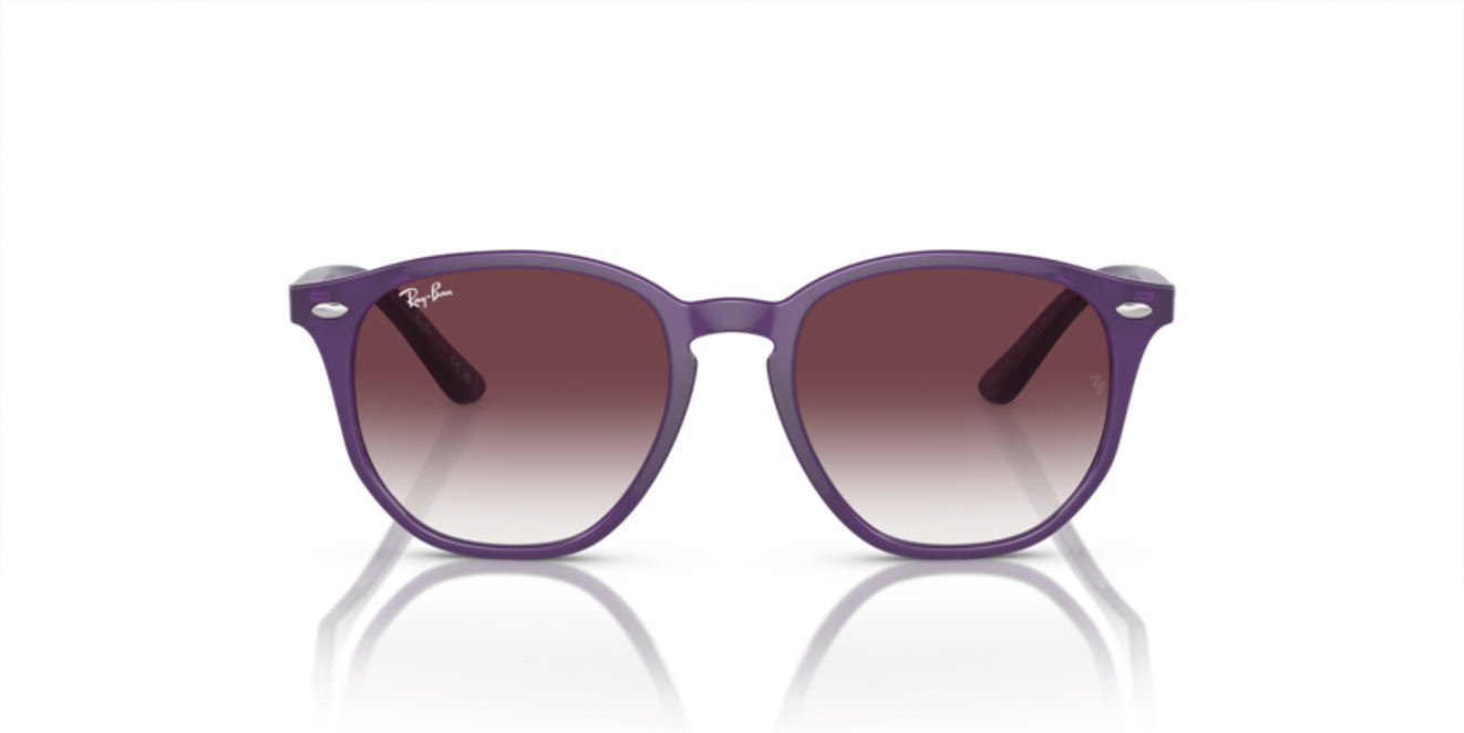 419_RAYBANPIC2.png