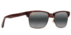 TORTOISE | ANTIQUE GOLD | NEUTRAL GREY | POLARIZED