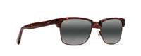 TORTOISE | ANTIQUE GOLD | NEUTRAL GREY - POLARIZED