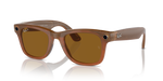 432_RAYBANPIC1.png