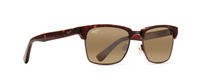 TORTOISE | ANTIQUE GOLD | HCL BRONZE - POLARIZED